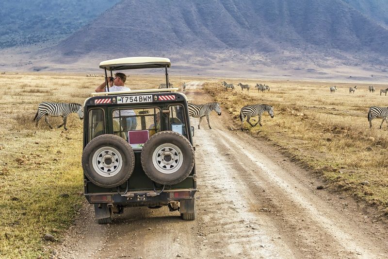 Safari in East Africa