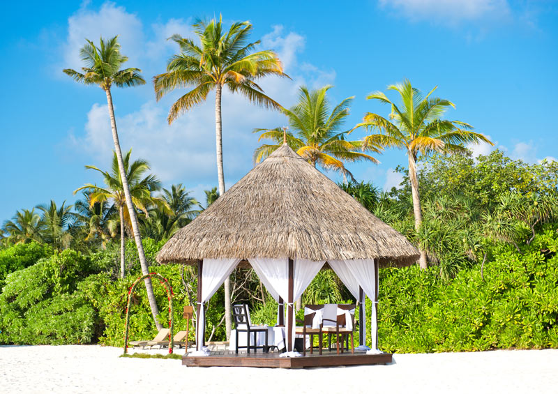 Palm Trees Are The Premier Wedding Backdrop