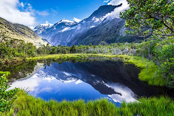 Peters Pool with a look towards the Franz Josef Glacier