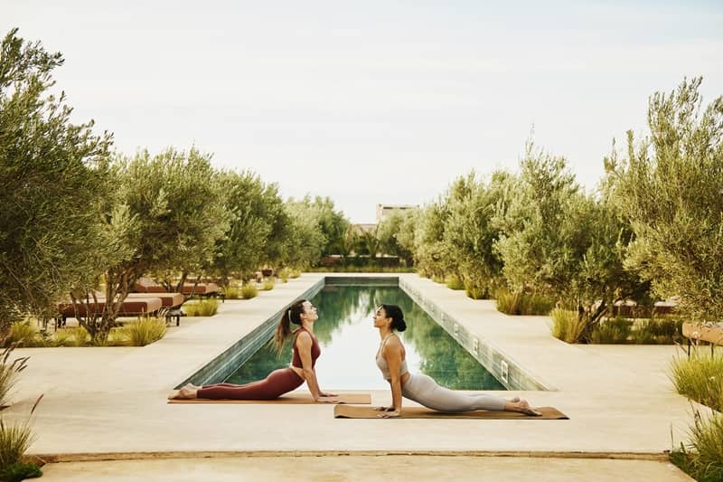 Flow & Flavor: Where Wellness Meets Wanderlust